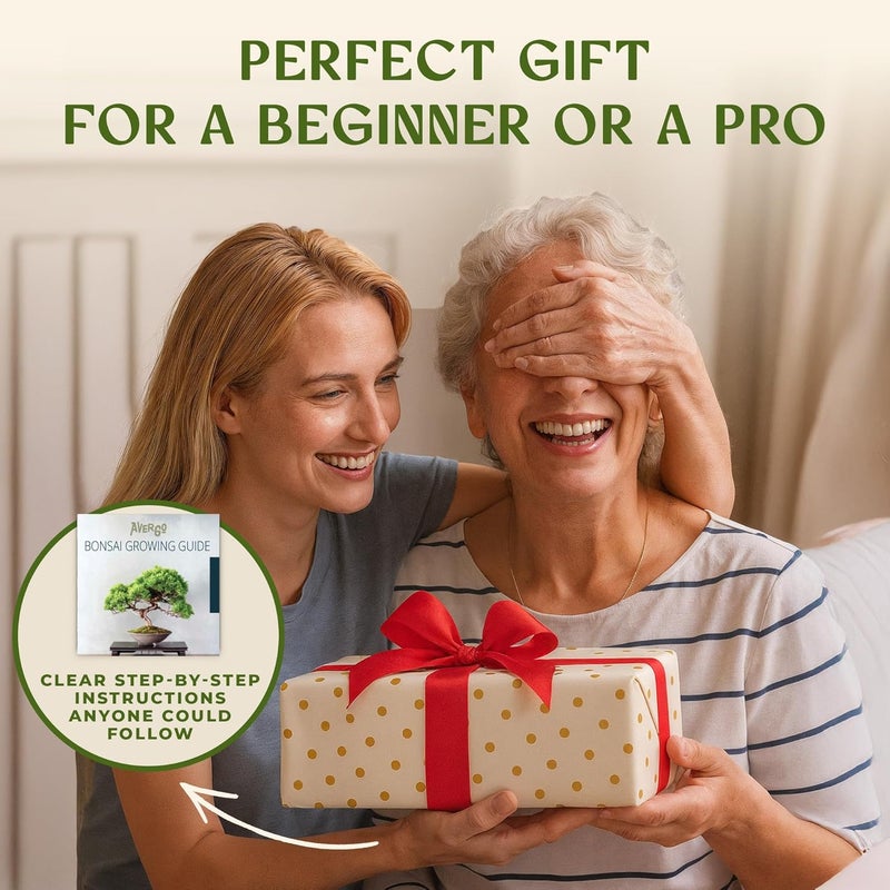 AVERGO Bonsai Starter Kit – Growing Jacaranda Bonzai Tree | Complete Indoor Tree Kit for Growing Plants with Tools & Planter – Gardening Gifts for Mother, Women & Men - Image 5